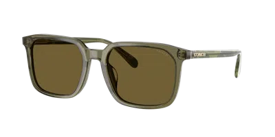 Coach Man Sunglass Hc8411u Cw405 In Green