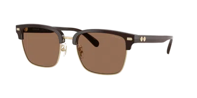 Coach Man Sunglass Hc8412 Cw406