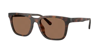 Coach Man Sunglass Hc8426u Cad81 In Brown