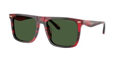 Coach Man Sunglass Hc8440u Cby95 In Brown