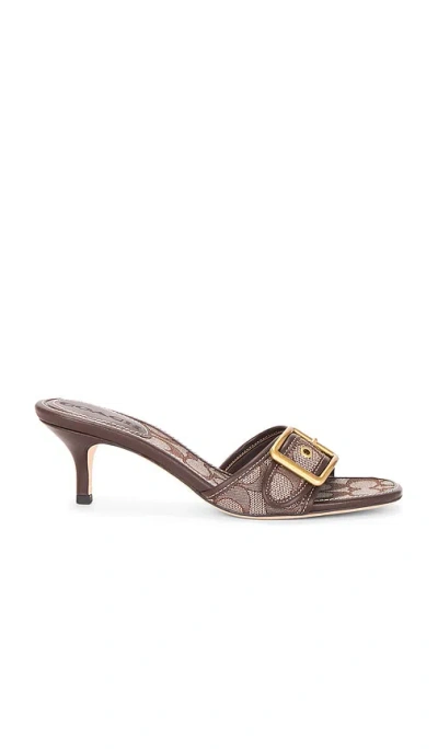 Coach Margot Sandal In Brown