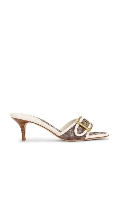 Coach Margot Sandal In Multi