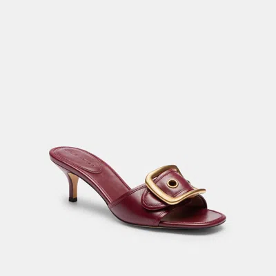 Coach Margot Sandal With Oversized Buckle In Brown