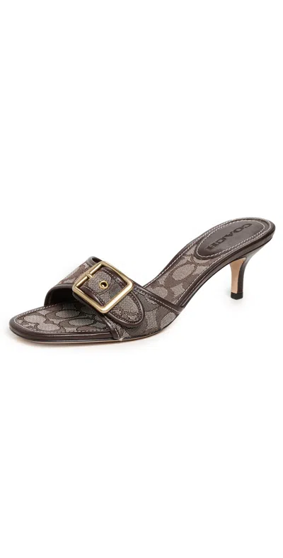 Coach 55mm Margot Buckle Heeled Sandals In Animal Print