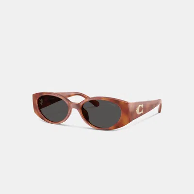 Coach Maxi Sculpted C Narrow Round Sunglasses In Caramel Tortoise