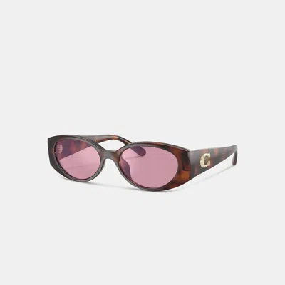 Coach Maxi Sculpted C Narrow Round Sunglasses In Brown