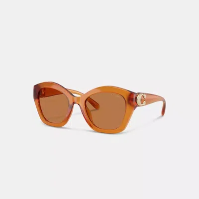 Coach Maxi Sculpted C Oversized Geometric Sunglasses In Amber
