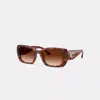 Coach Maxi Sculpted C Oversized Rectangle Sunglasses In Brown