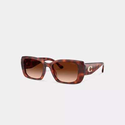 Coach Maxi Sculpted C Oversized Rectangle Sunglasses In Brown