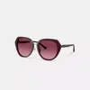 Coach Maxi Sculpted C Oversized Round Sunglasses