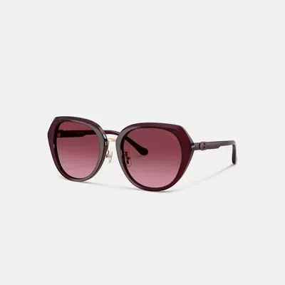 Coach Maxi Sculpted C Oversized Round Sunglasses In Brown
