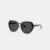Coach Maxi Sculpted C Oversized Round Sunglasses In Black