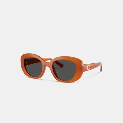Coach Maxi Sculpted C Oversized Round Sunglasses In Milky Amber