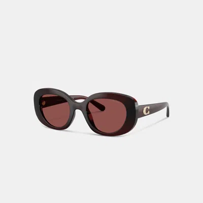 Coach Maxi Sculpted C Oversized Round Sunglasses In Transparent Garnet
