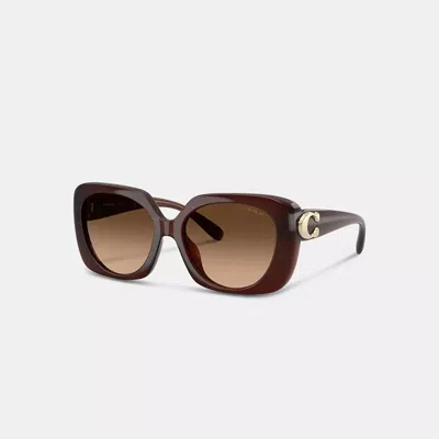 Coach Maxi Sculpted C Oversized Square Sunglasses In Brown
