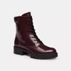 Coach In Merlot