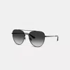 Coach Pillow Tabby Pilot Sunglasses In Black