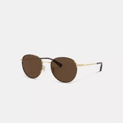 Coach Metal Windsor Round Sunglasses In Brown/gold