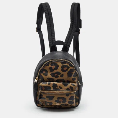 Pre-owned Coach Mini Black/brown Leopard Print Coated Canvas And Leather Backpack