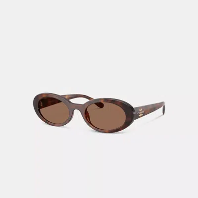 Coach Narrow Oval Sunglasses In Brown