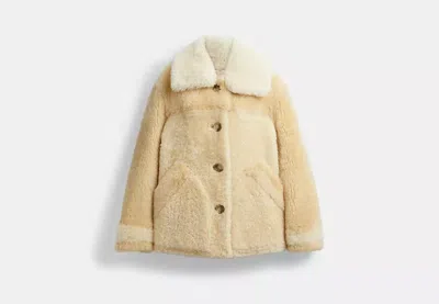 Coach Outlet All Over Colorblock Shearling Coat In White