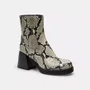 Coach Outlet Block Heel Boot With Snake Print In Animal Print