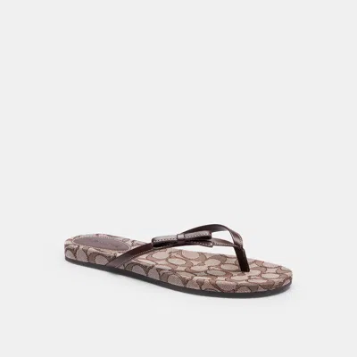 Coach Outlet Bow Flip Flop In Signature Jacquard