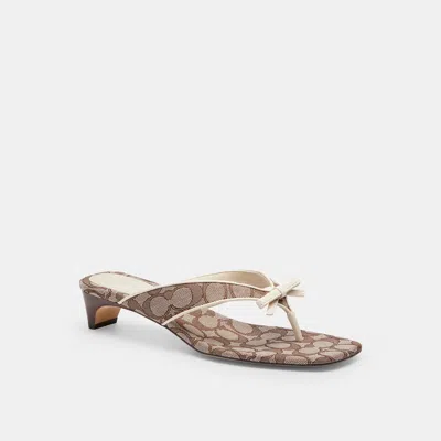 Coach Outlet Bow Thong Kitten Heel In Signature Jacquard In Brown