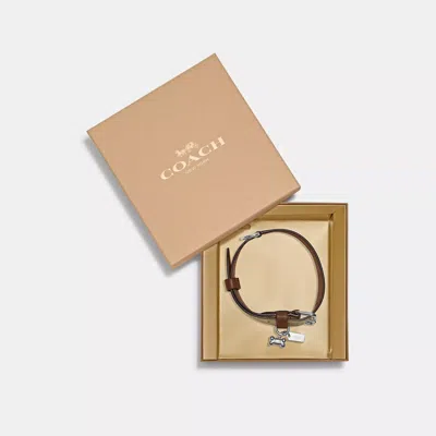Coach Outlet Boxed Large Pet Collar In Signature Canvas In Beige