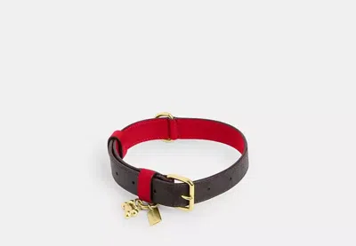 Coach Outlet Boxed Large Pet Collar In Signature Canvas In Brown