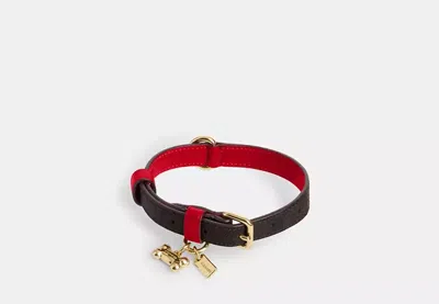 Coach Outlet Boxed Small Pet Collar In Signature Canvas In Brown