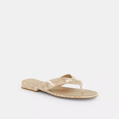 Coach Outlet Bridgette Sandal In Signature Canvas In Beige