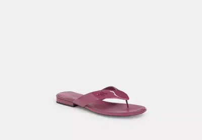 Coach Outlet Bridgette Sandal In Pink