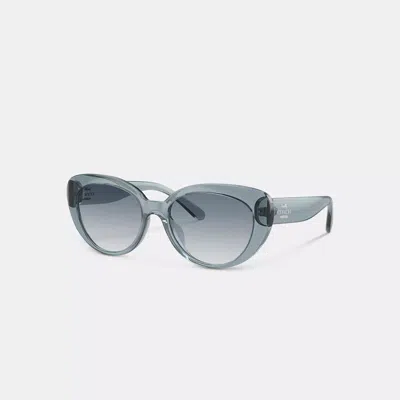 Coach Outlet Cateye Sunglasses In Blue