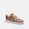 Coach Outlet Coach X Peanuts High Line Sneaker In Signature Canvas With Snoopy Print In Brown