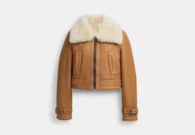 Coach Outlet Cropped Shearling Aviator In Brown
