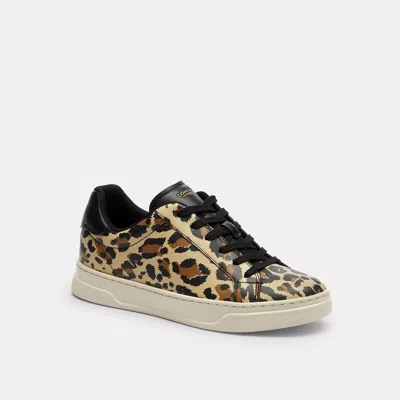 Coach Outlet High Line Sneaker With Leopard Print In Multi