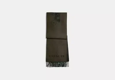 Coach Outlet Horse And Carriage Cashmere Muffler In Green