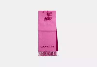 Coach Outlet Horse And Carriage Cashmere Muffler In Purple
