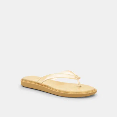 Coach Outlet Jelly Flip Flop In Signature In Vanilla