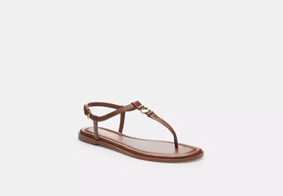 Coach Outlet Jessica Sandal In Brown
