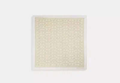 Coach Outlet Jumbo Signature Silk Square Scarf In Brown