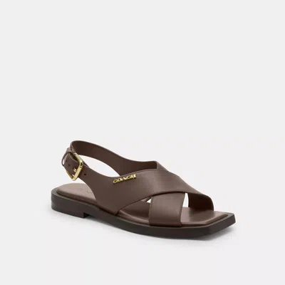 Coach Outlet Link Criss Cross Sandal In Brown