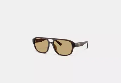 Coach Outlet Pilot Sunglasses In Brown