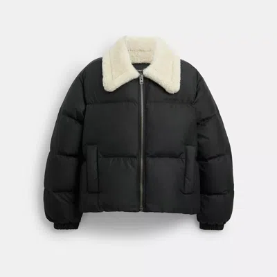 Coach Outlet Puffer With Shearling Collar In Black