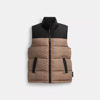 Coach Outlet Signature Down Vest In Recycled Polyester In Beige