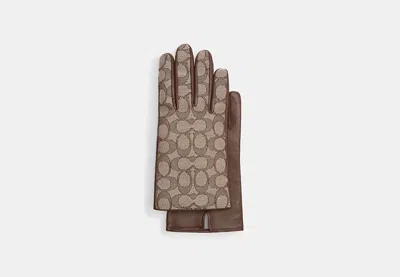 Coach Outlet Signature Jacquard And Leather Tech Gloves In Brown