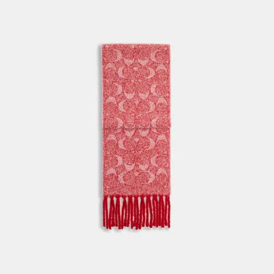Coach Outlet Signature Muffler In Pink