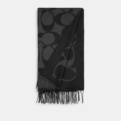 Coach Outlet Signature Oversized Muffler In Black