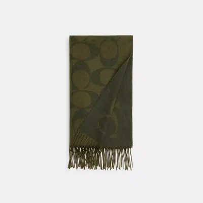 Coach Outlet Signature Oversized Muffler In Green